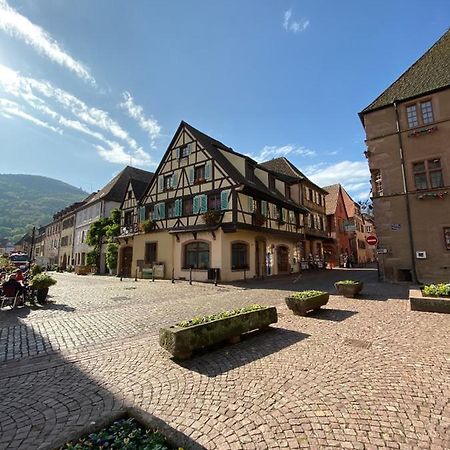 Coeur D'Alsace Apartment Kaysersberg-Vignoble Bagian luar foto